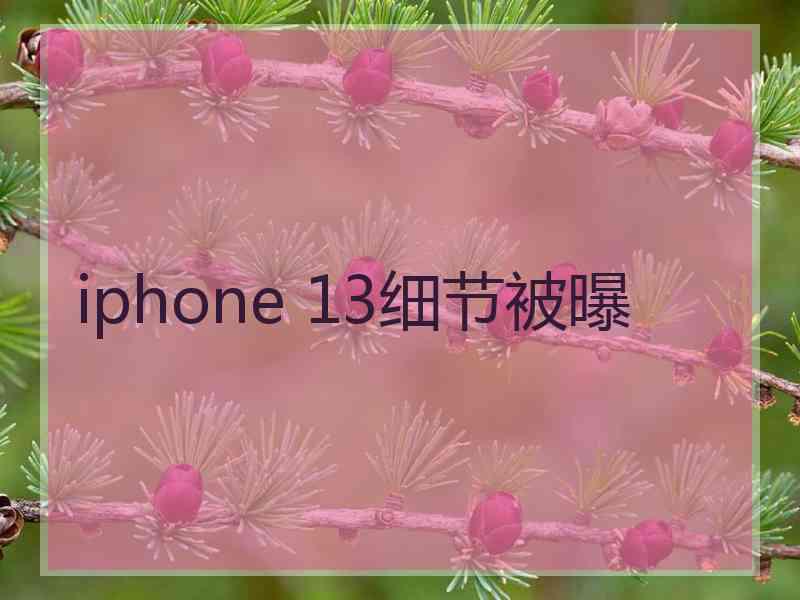 iphone 13细节被曝