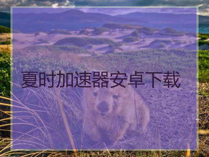 夏时加速器安卓下载