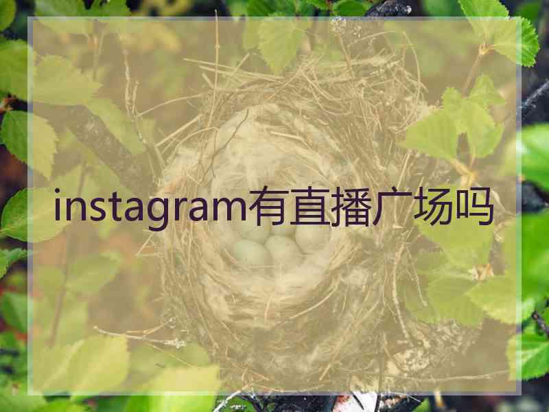 instagram有直播广场吗