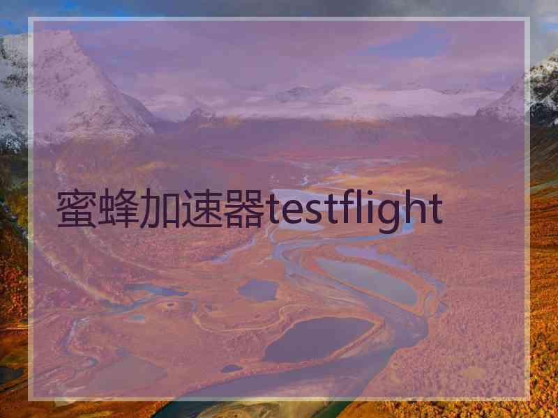 蜜蜂加速器testflight