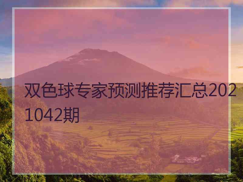 双色球专家预测推荐汇总2021042期