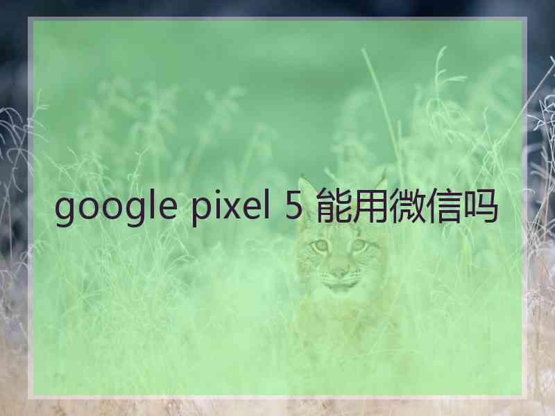 google pixel 5 能用微信吗