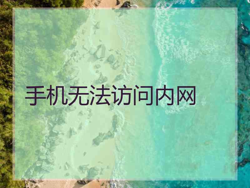 手机无法访问内网