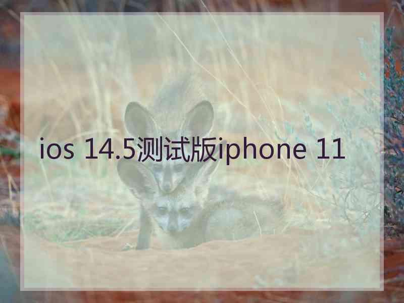 ios 14.5测试版iphone 11