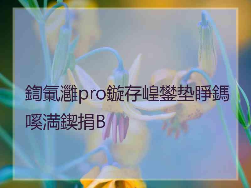 鍧氭灉pro鏇存崲鐢垫睜鎷嗘満鍥捐В