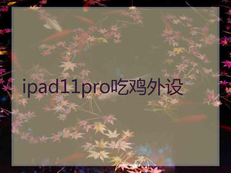 ipad11pro吃鸡外设