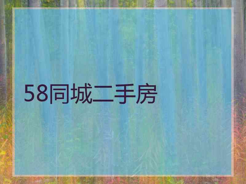 58同城二手房