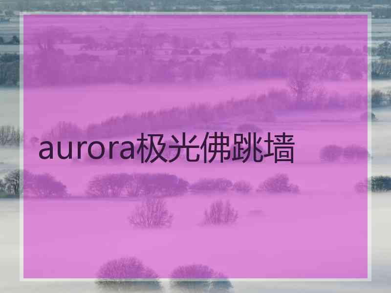 aurora极光佛跳墙