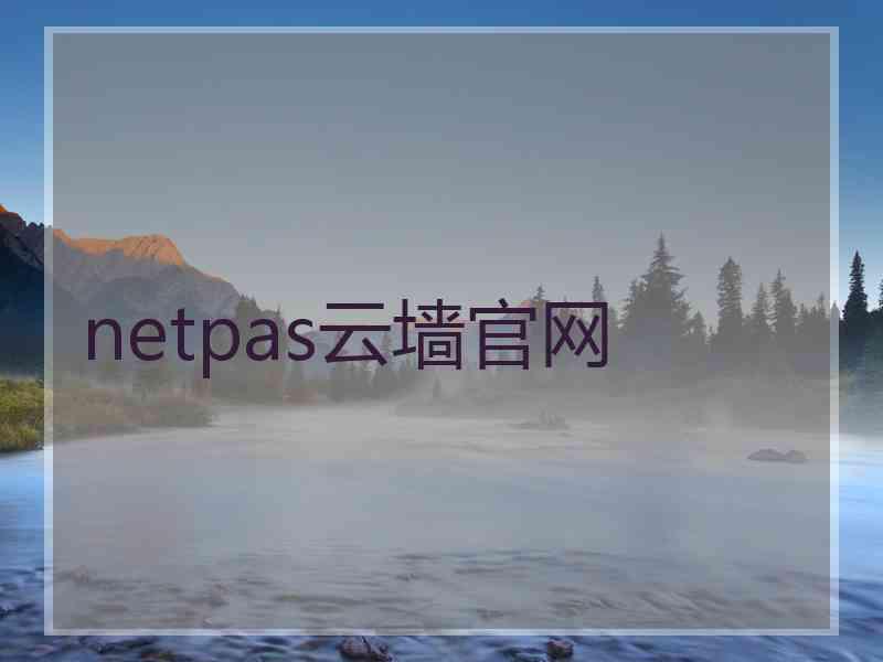 netpas云墙官网