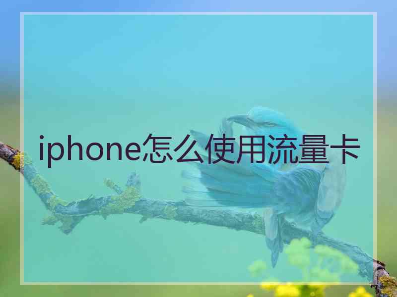 iphone怎么使用流量卡