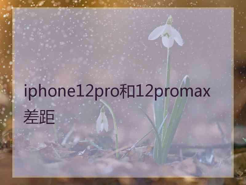 iphone12pro和12promax差距