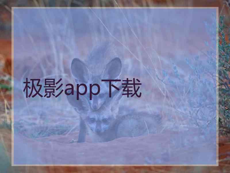 极影app下载