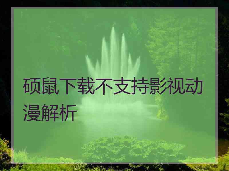 硕鼠下载不支持影视动漫解析