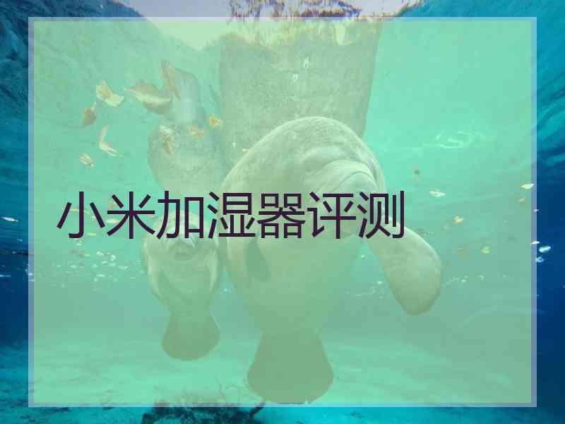 小米加湿器评测