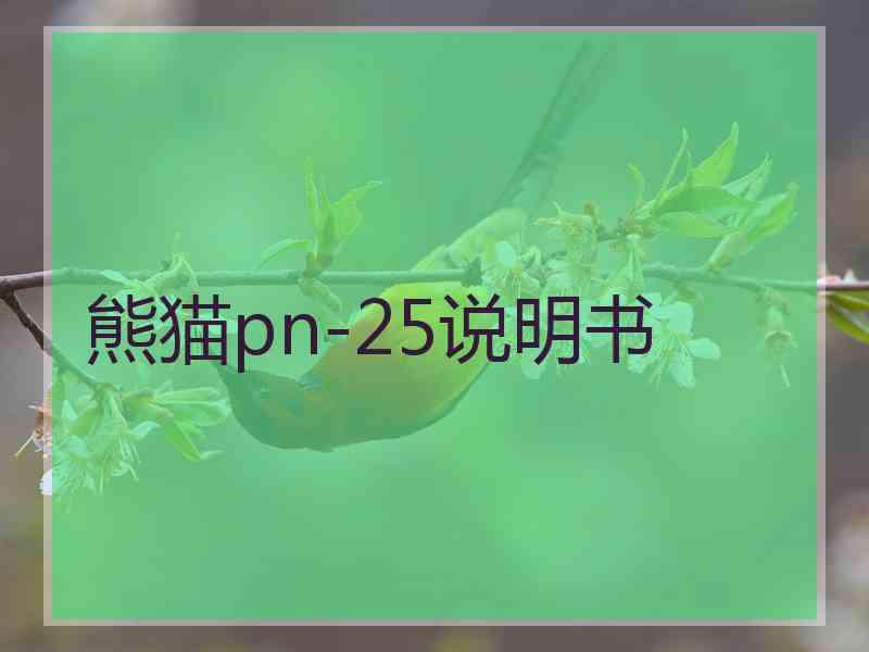 熊猫pn-25说明书