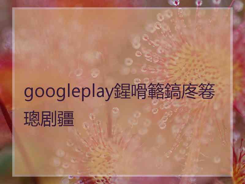 googleplay鍟嗗簵鎬庝箞璁剧疆