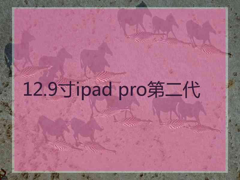 12.9寸ipad pro第二代