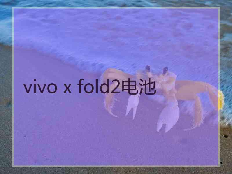 vivo x fold2电池