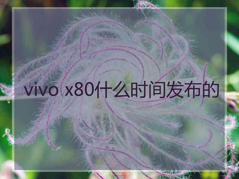 vivo x80什么时间发布的