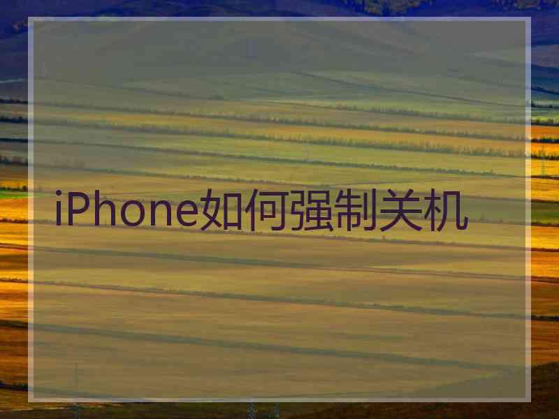 iPhone如何强制关机