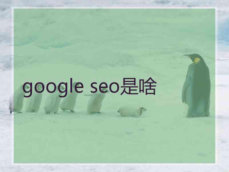 google seo是啥