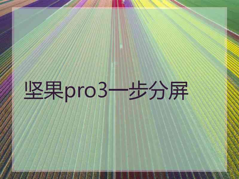 坚果pro3一步分屏