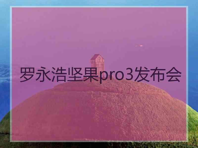 罗永浩坚果pro3发布会