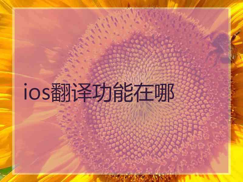 ios翻译功能在哪