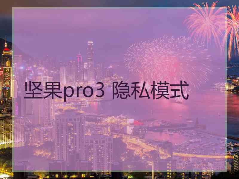 坚果pro3 隐私模式