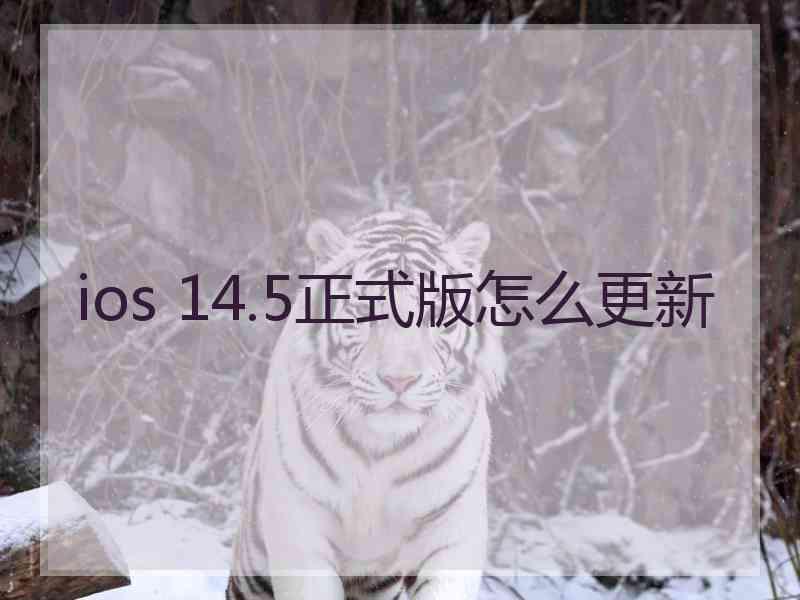 ios 14.5正式版怎么更新