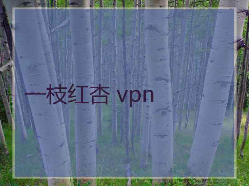 一枝红杏 vpn