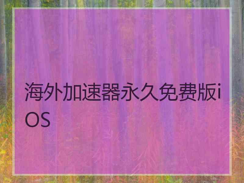 海外加速器永久免费版iOS