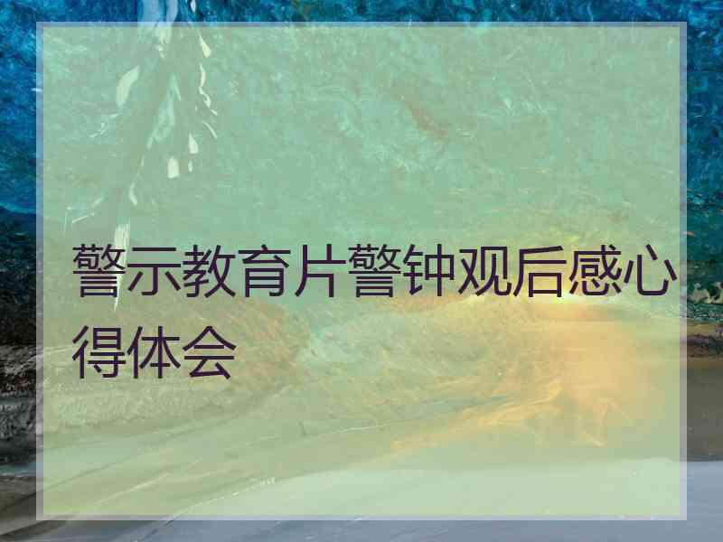 警示教育片警钟观后感心得体会