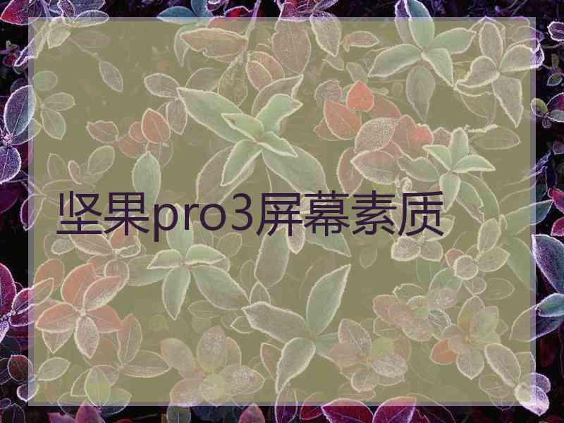 坚果pro3屏幕素质