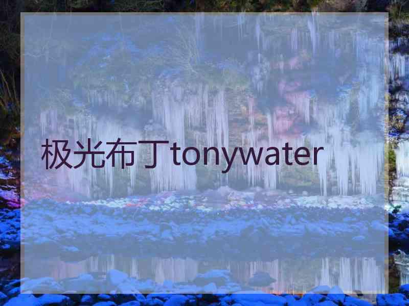 极光布丁tonywater