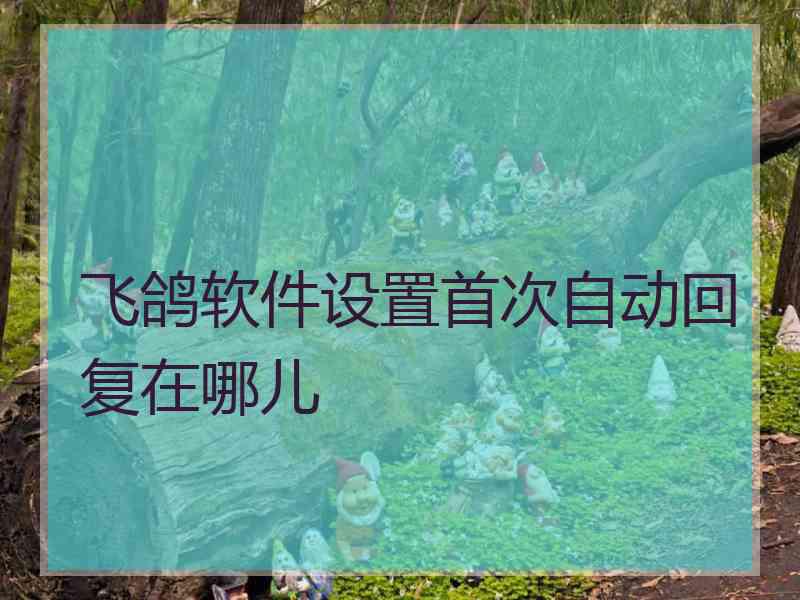 飞鸽软件设置首次自动回复在哪儿