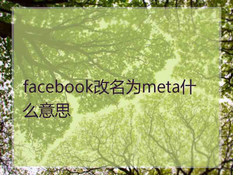 facebook改名为meta什么意思