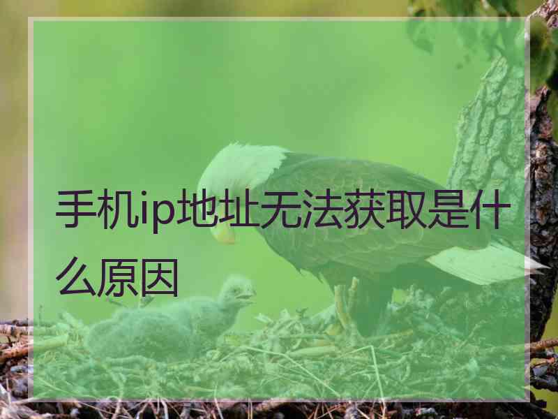 手机ip地址无法获取是什么原因