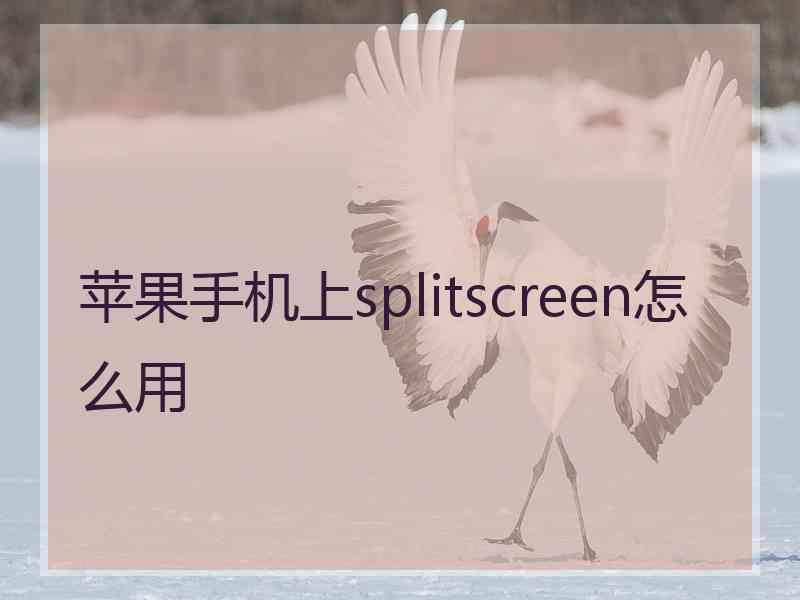 苹果手机上splitscreen怎么用