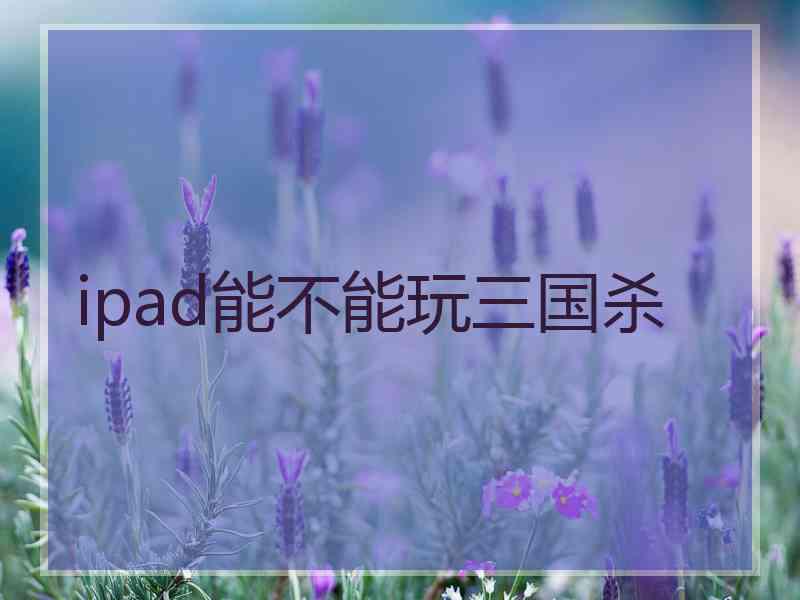 ipad能不能玩三国杀