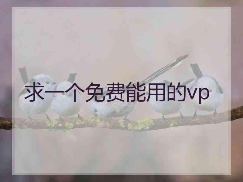 求一个免费能用的vp