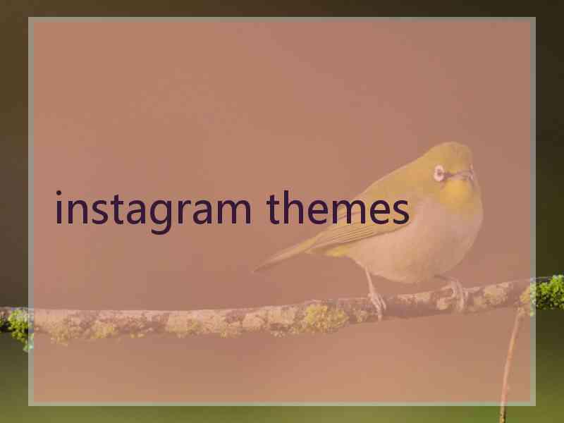 instagram themes