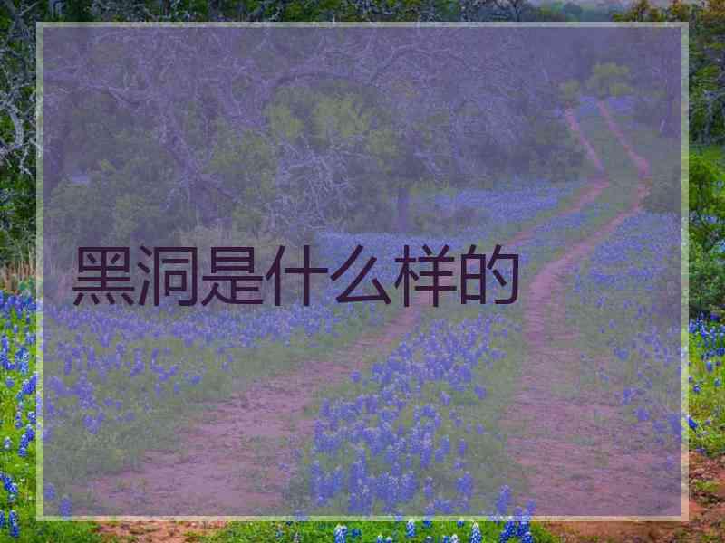 黑洞是什么样的