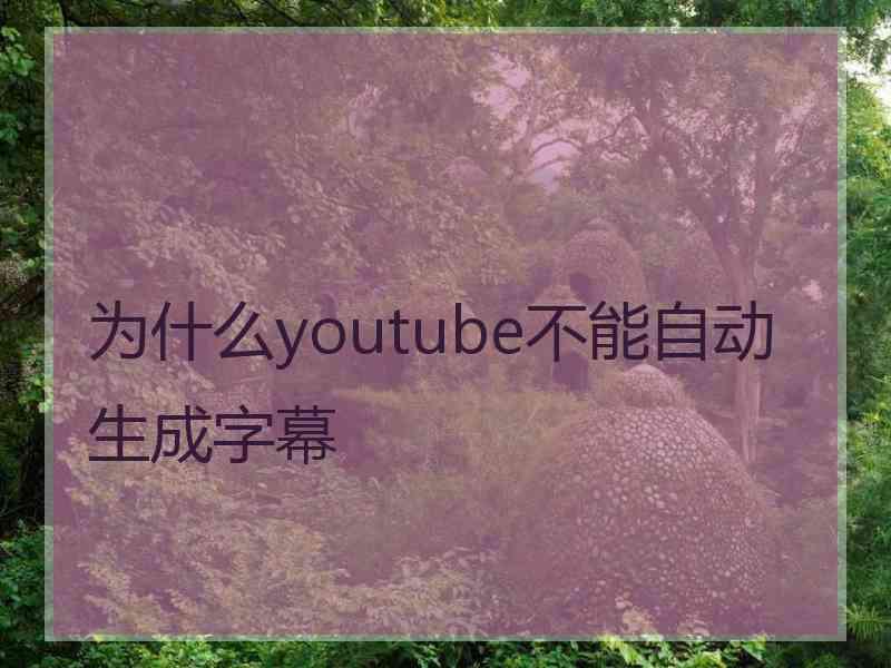 为什么youtube不能自动生成字幕