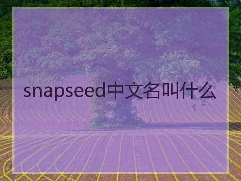 snapseed中文名叫什么