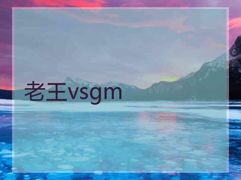 老王vsgm