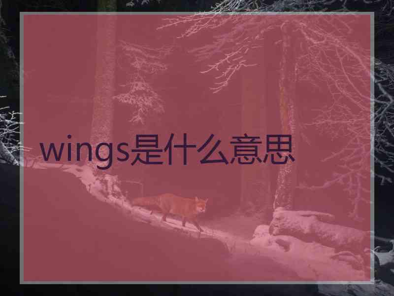 wings是什么意思