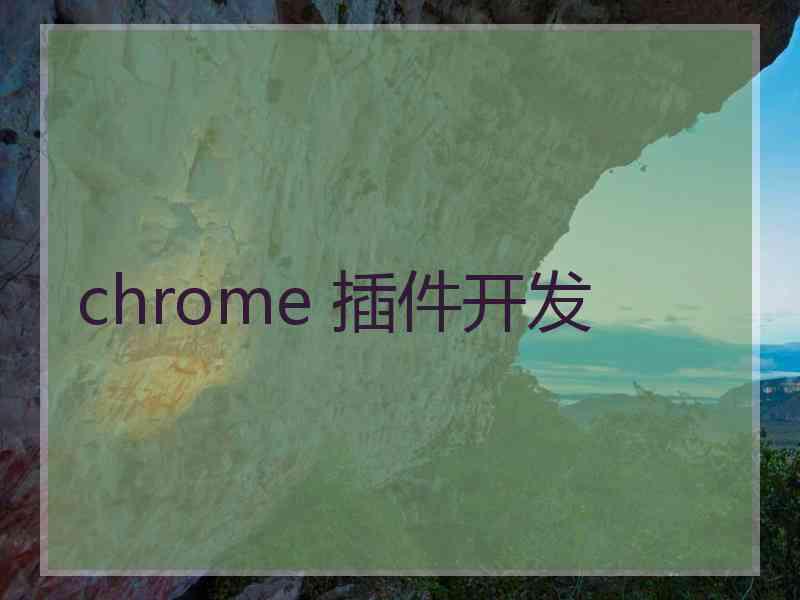 chrome 插件开发