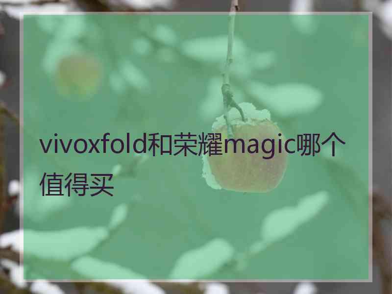 vivoxfold和荣耀magic哪个值得买