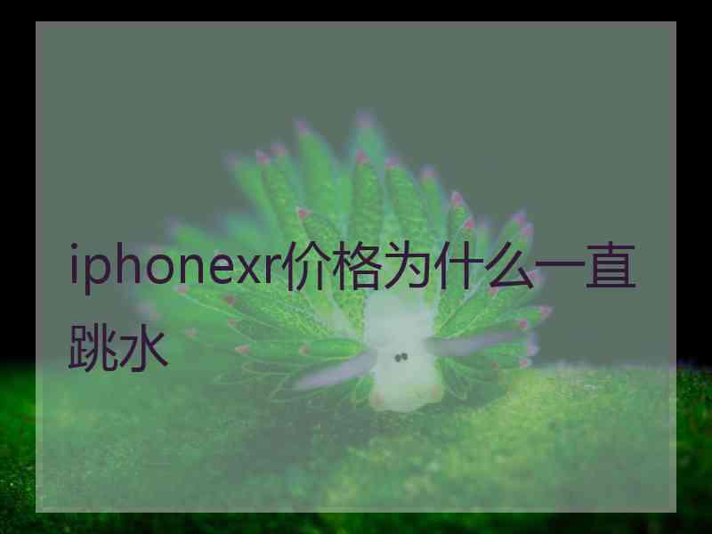 iphonexr价格为什么一直跳水